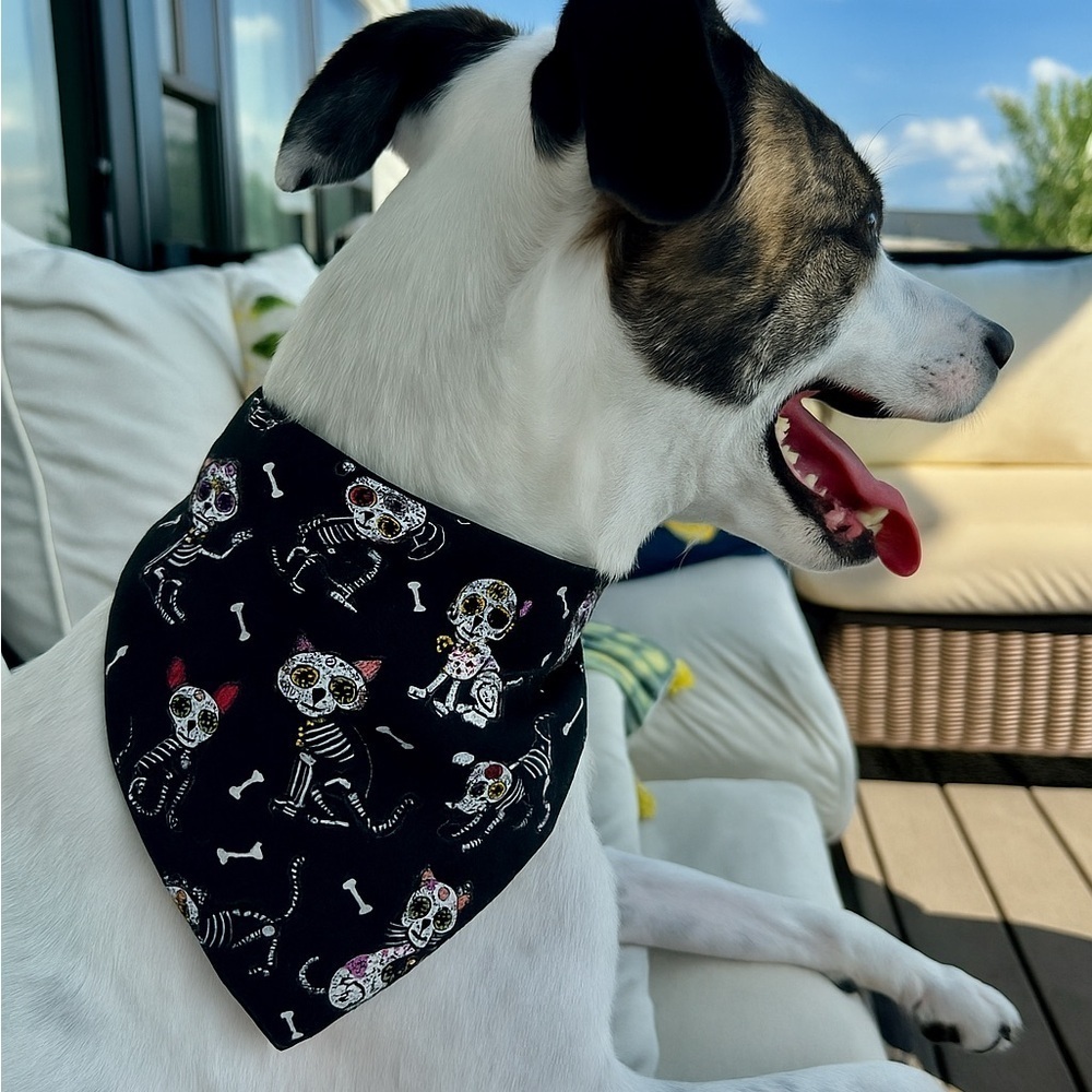 Handmade Reversible Skeleton Dog Bandana